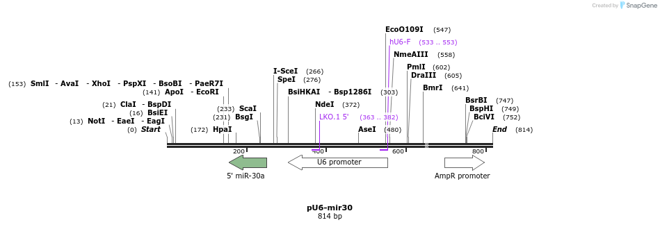 21308_map