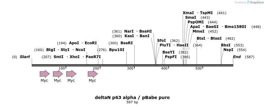 21376_map