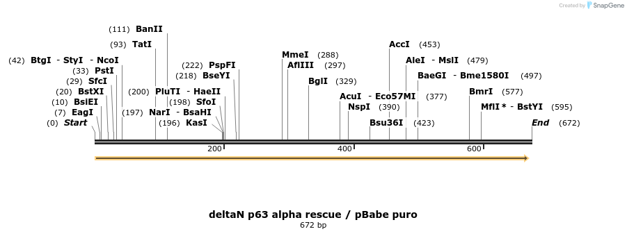 21378_map