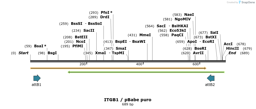 21382_map
