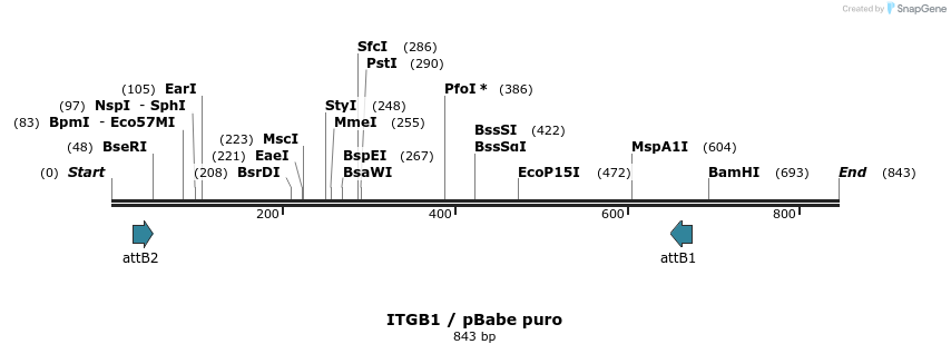 21383_map
