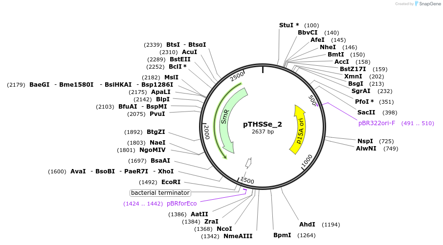 109234-plasmid-map-sequence-id-214711
