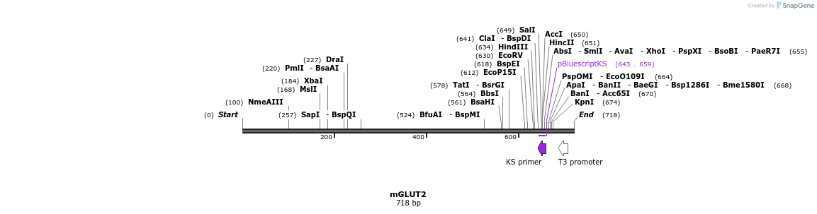 21523_map