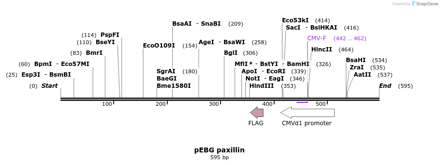 21562_map