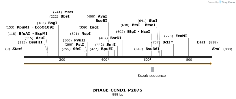 219086_map