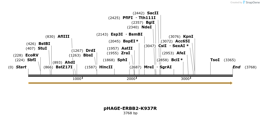 219211_map