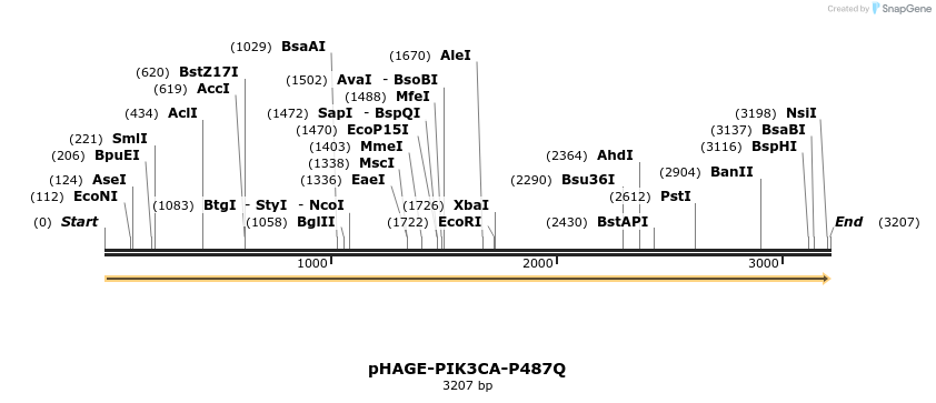 219398_map