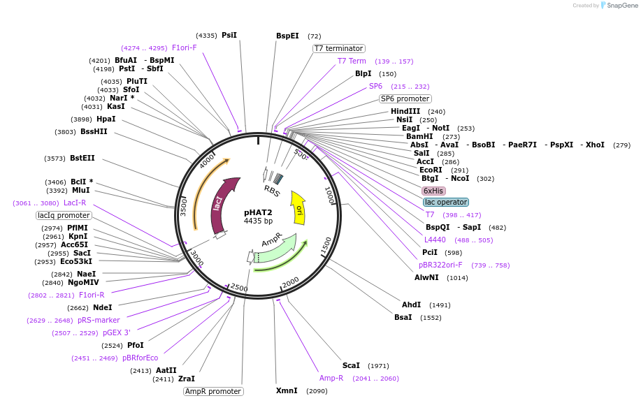 112583-plasmid-map-sequence-id-220159