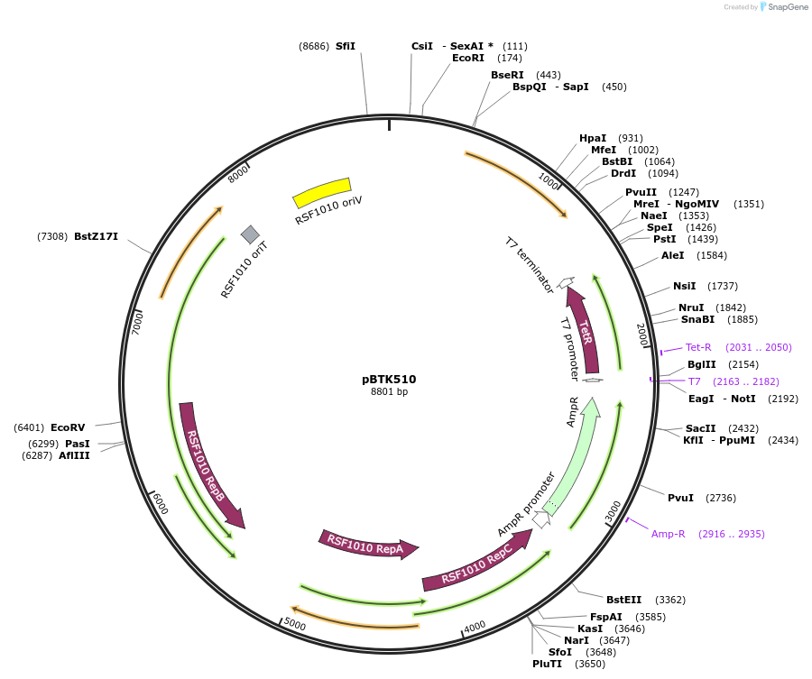 110611-plasmid-map-sequence-id-220593