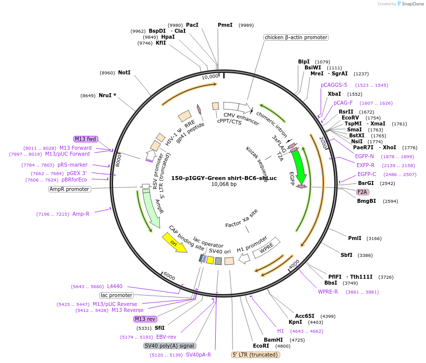 231201_map