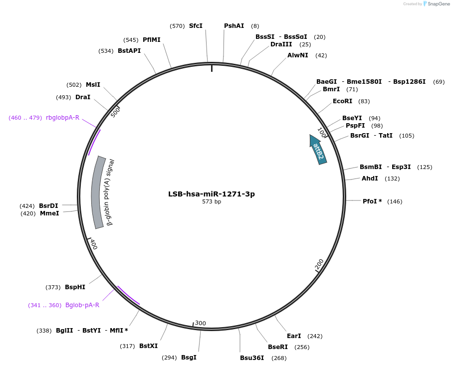 103195-plasmid-map-sequence-id-237638