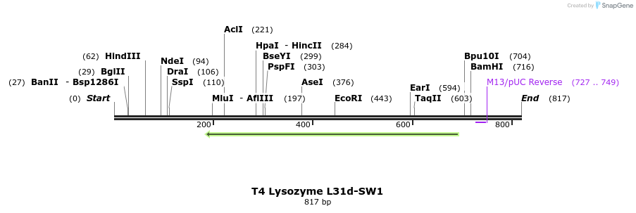 24044_map