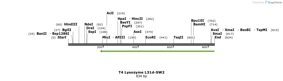 24045_map