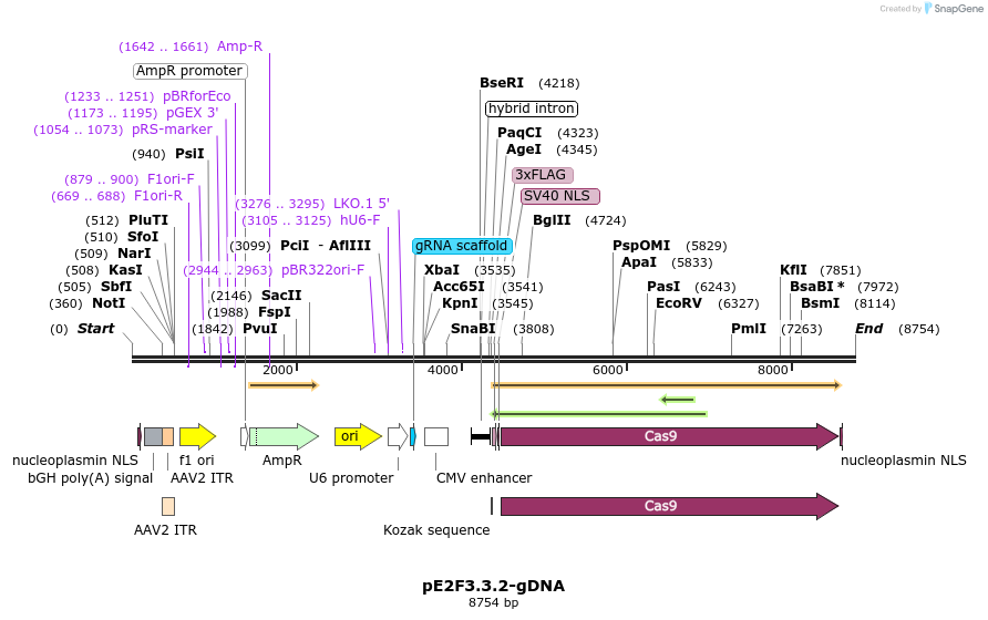 241247_map