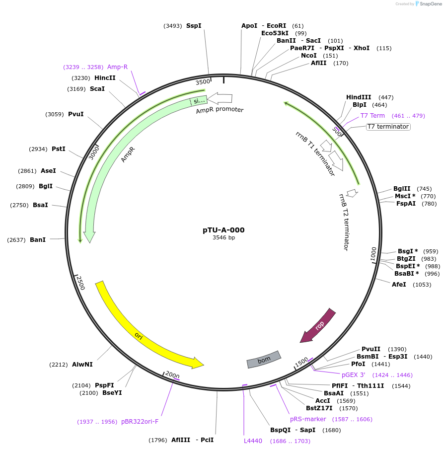 124409-plasmid-map-sequence-id-244244