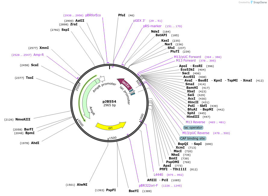 115964-plasmid-map-sequence-id-244259