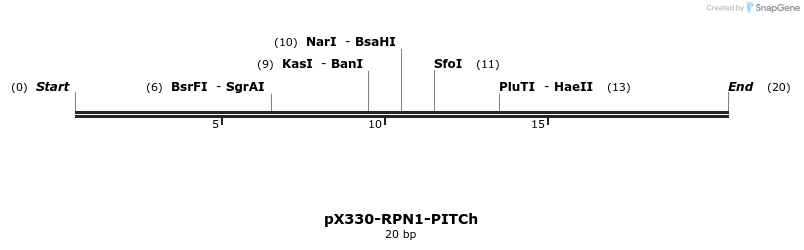 245130_map