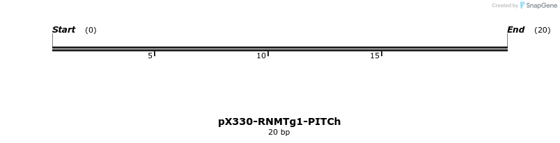 245132_map