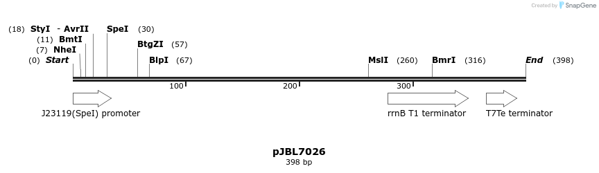 247017_map