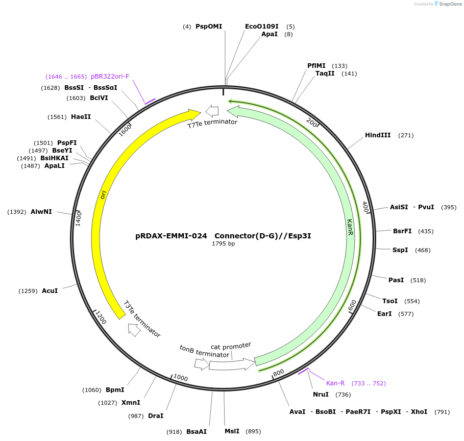 130226-plasmid-map-sequence-id-249604