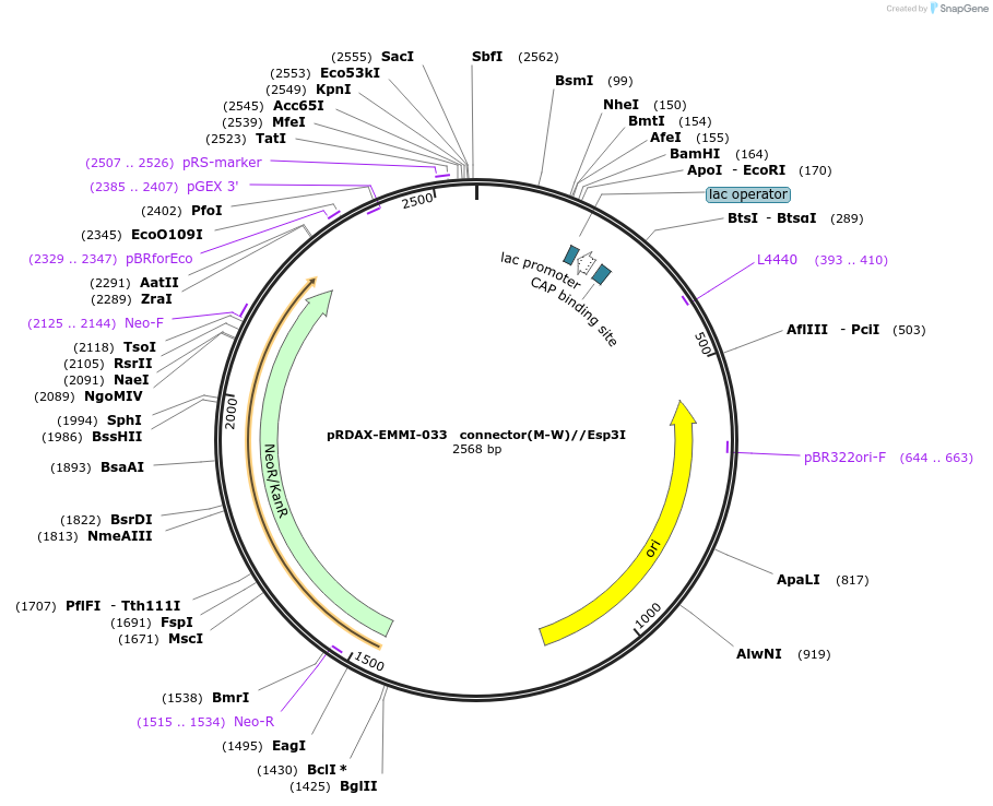 130235-plasmid-map-sequence-id-249613