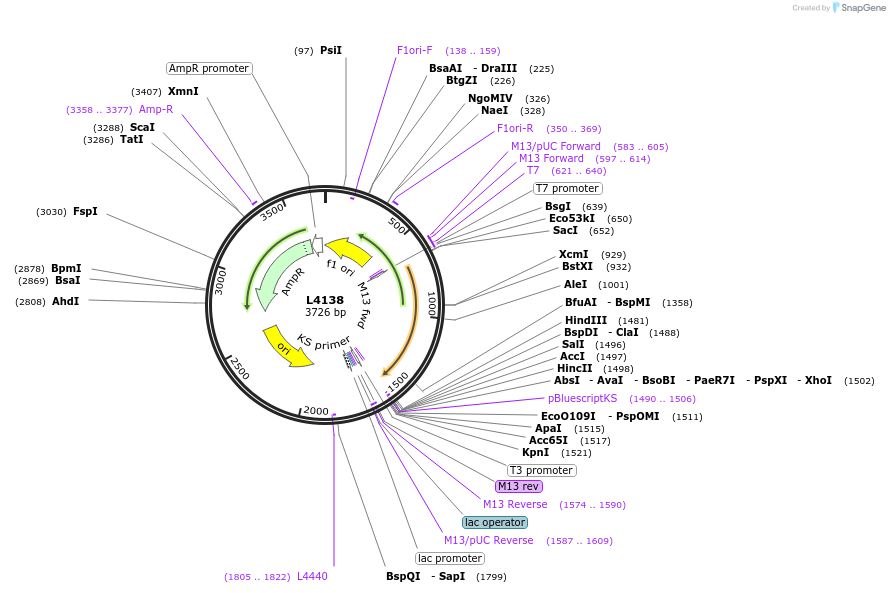 1645-plasmid-map-sequence-id-255