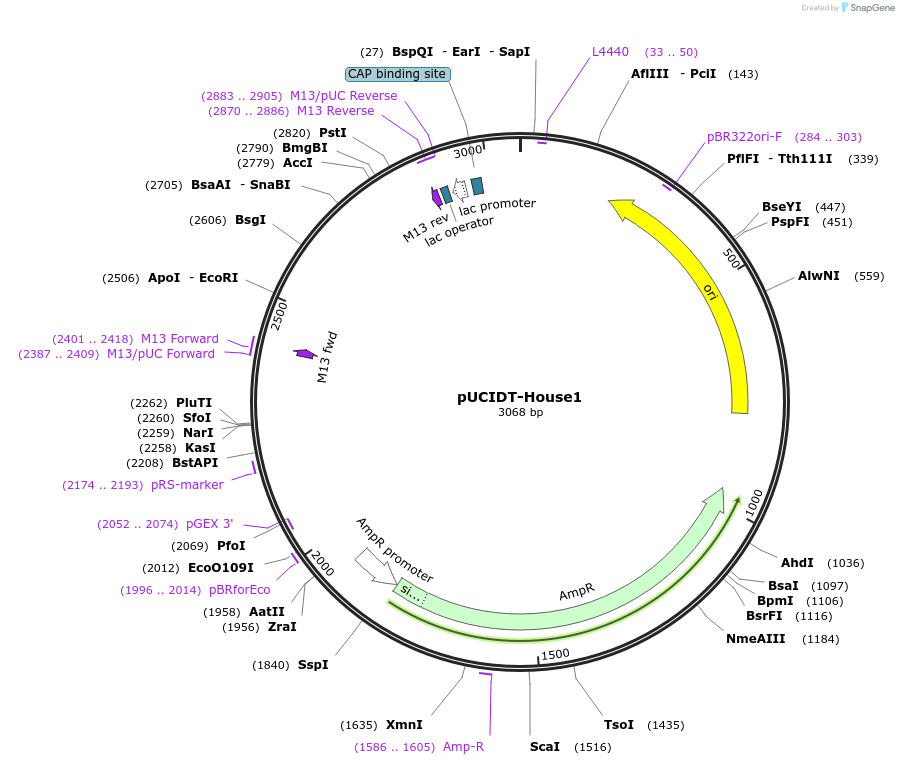 132759-plasmid-map-sequence-id-260674