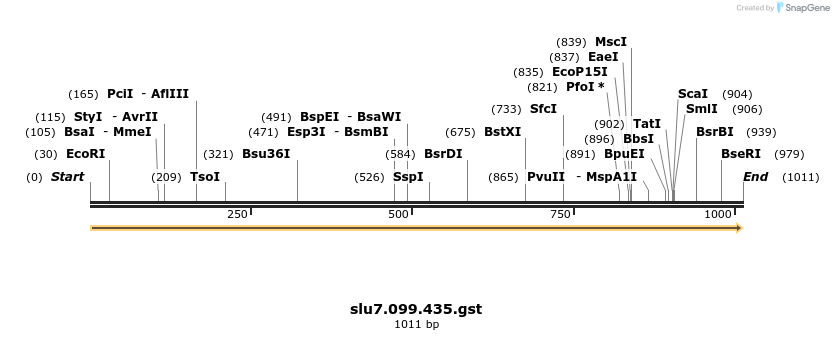 265501_map