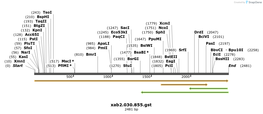 265541_map
