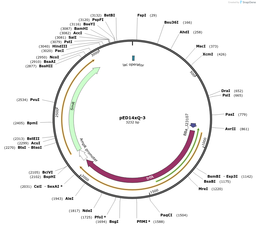 134795-plasmid-map-sequence-id-266467