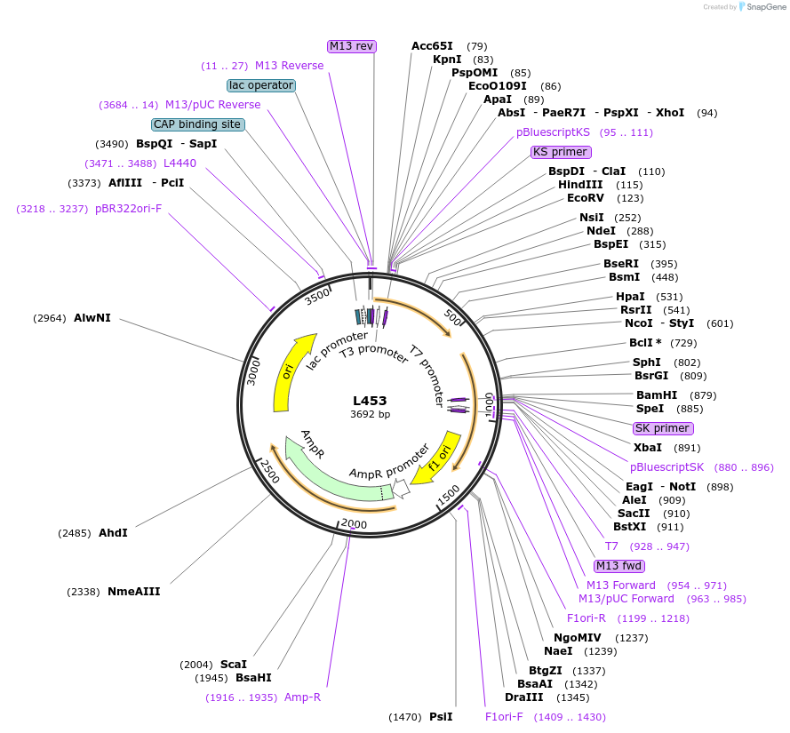 1660-plasmid-map-sequence-id-270
