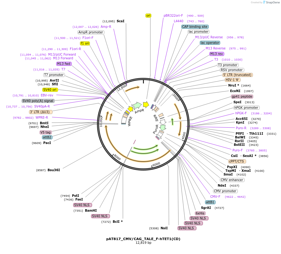 271630_map