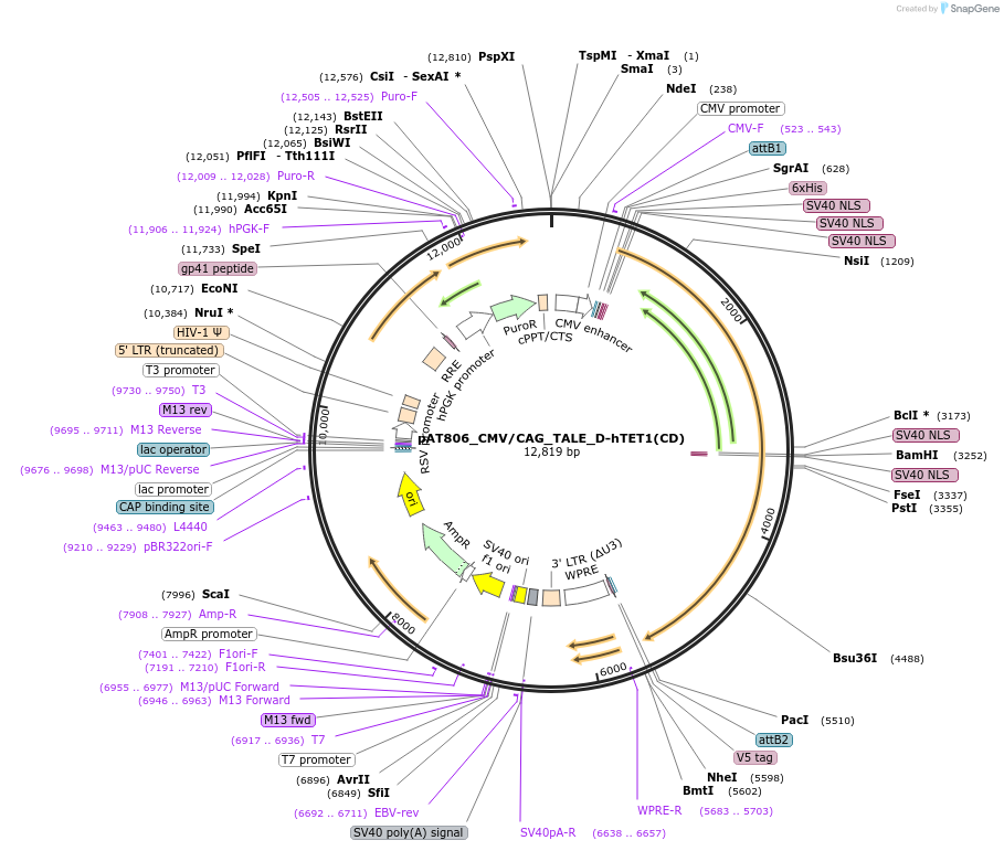 271770_map