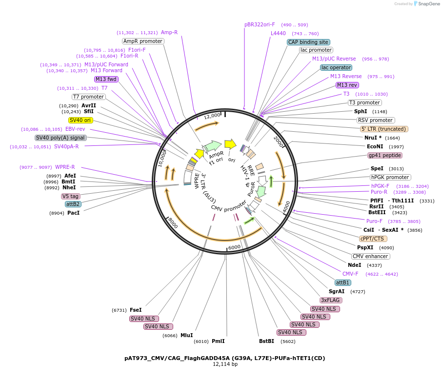 271778_map