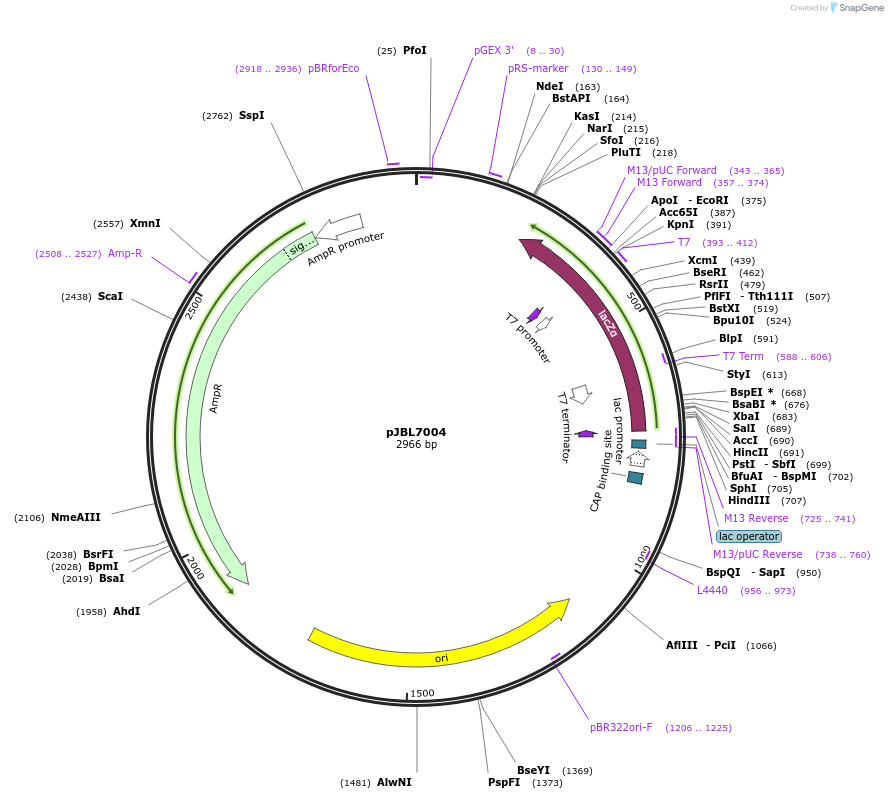 136943-plasmid-map-sequence-id-272120