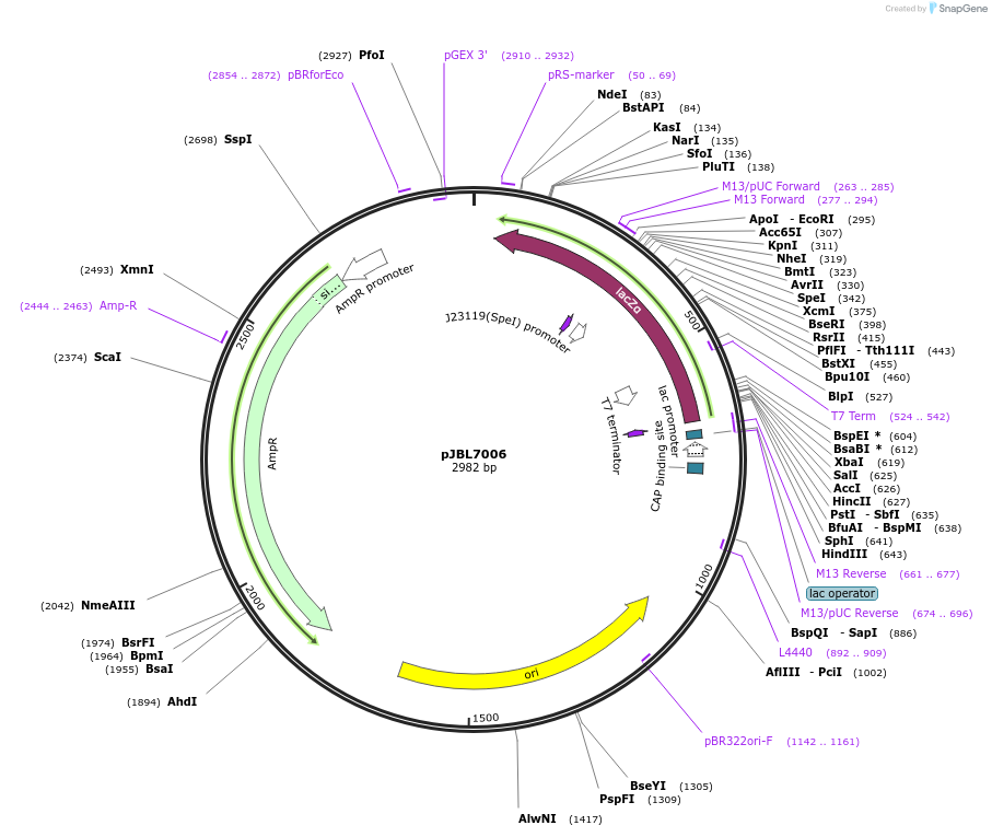 136945-plasmid-map-sequence-id-272121