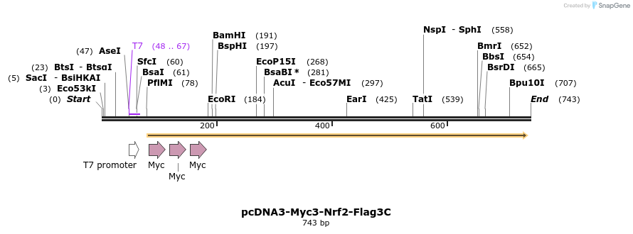 27231_map