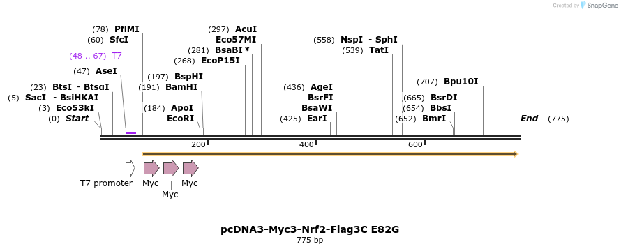 27241_map