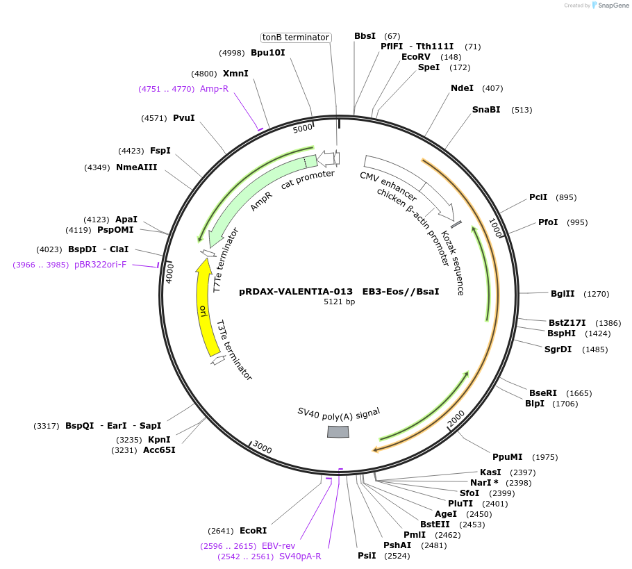 130194-plasmid-map-sequence-id-273422