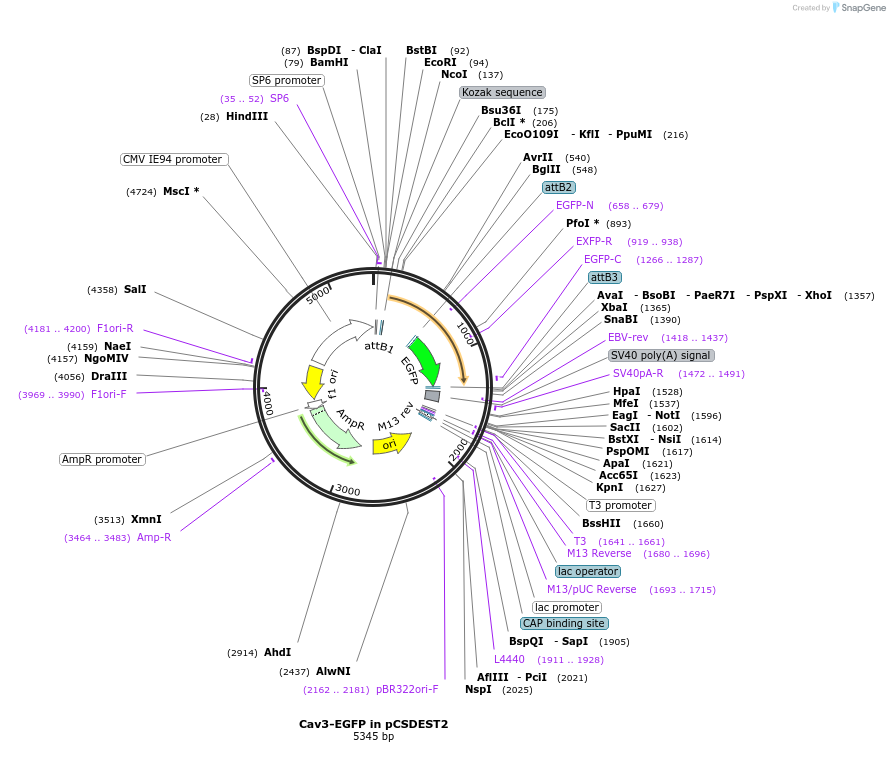 274111_map