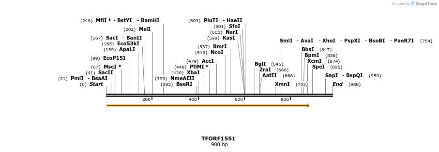 277645_map
