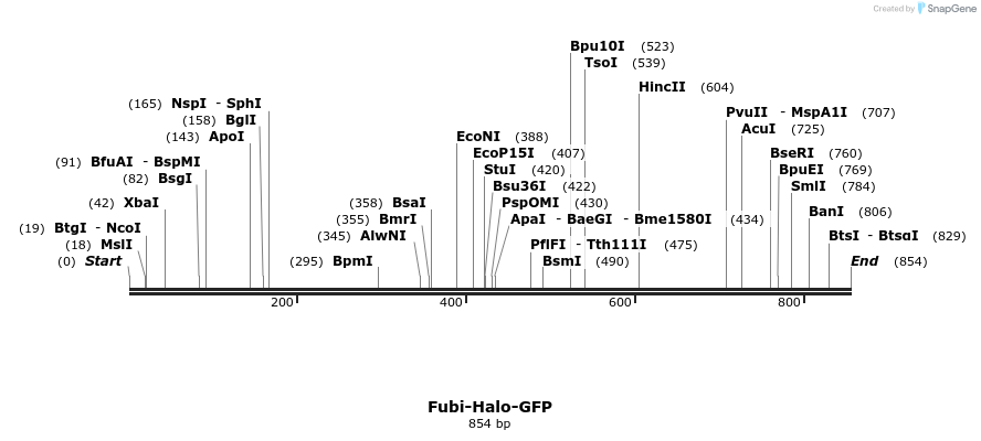 27880_map