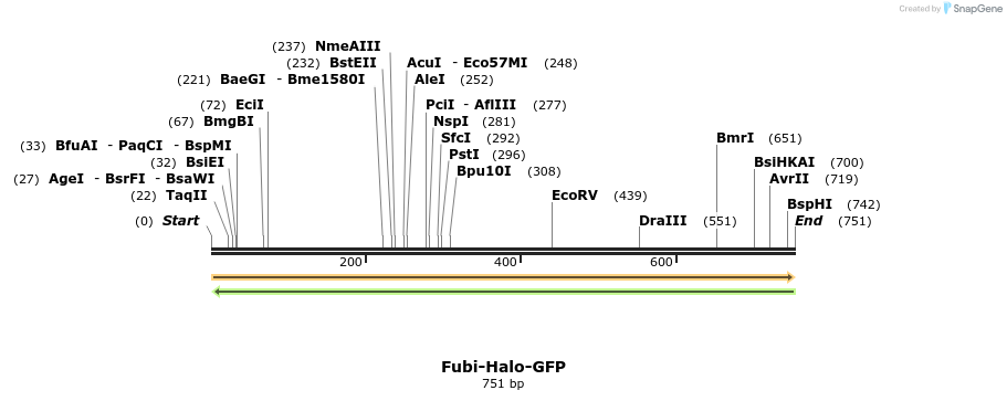 27881_map