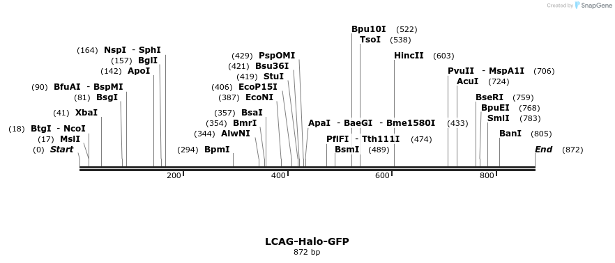 27884_map