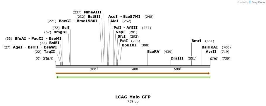 27885_map