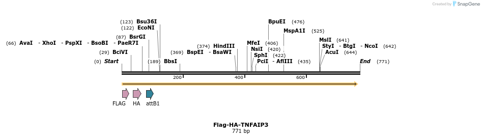 28337_map