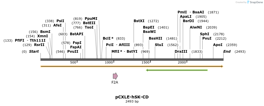 287554_map