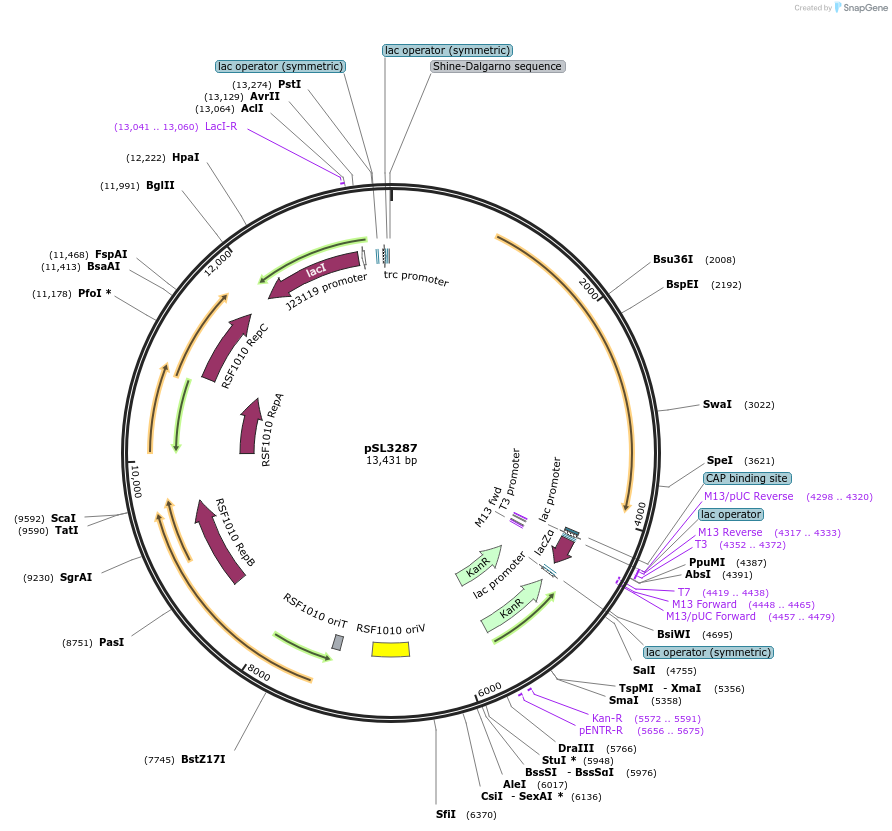 139750-plasmid-map-sequence-id-288134