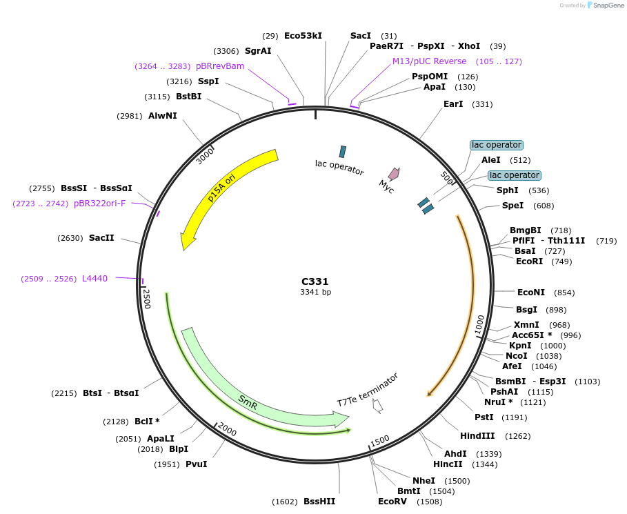 141123-plasmid-map-sequence-id-292680