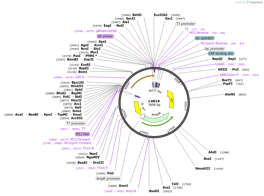 1684-plasmid-map-sequence-id-294